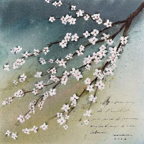 rama branca branch ametller almond almendro flor flower blossom florir florecer