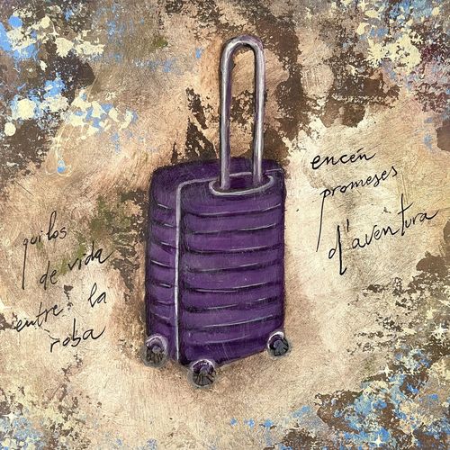 maleta suitcase